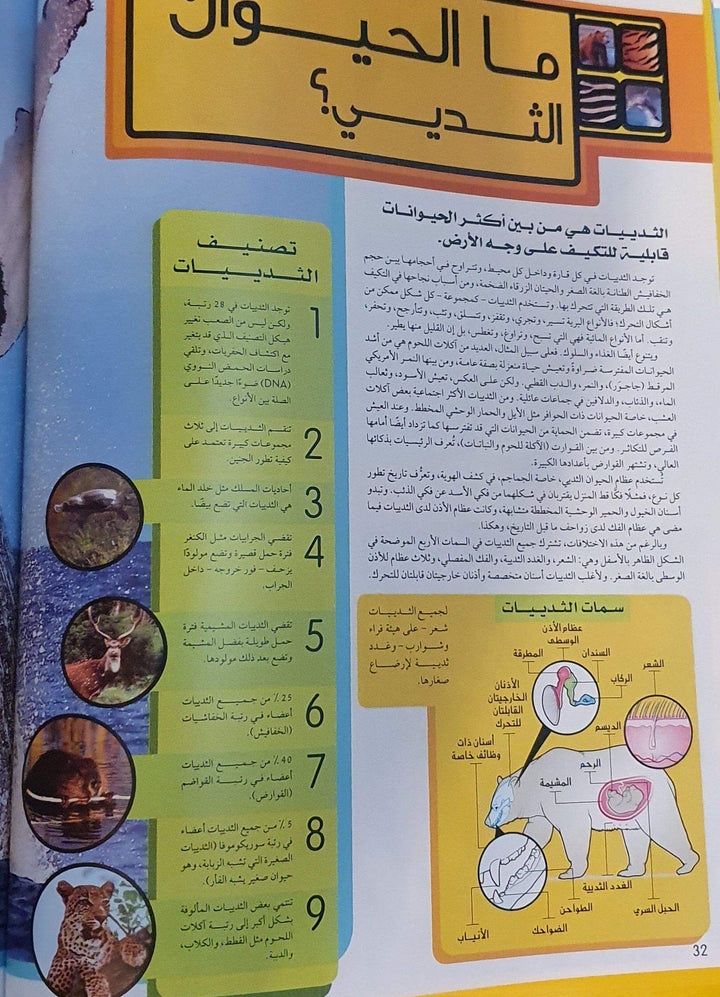موسوعة الحيوانات - ArabiskaBazar - أرابيسكابازار