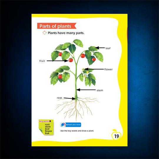 Science Pupil's book level 1 - ArabiskaBazar - أرابيسكابازار