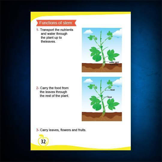 Science Pupil's book level 4 - ArabiskaBazar - أرابيسكابازار